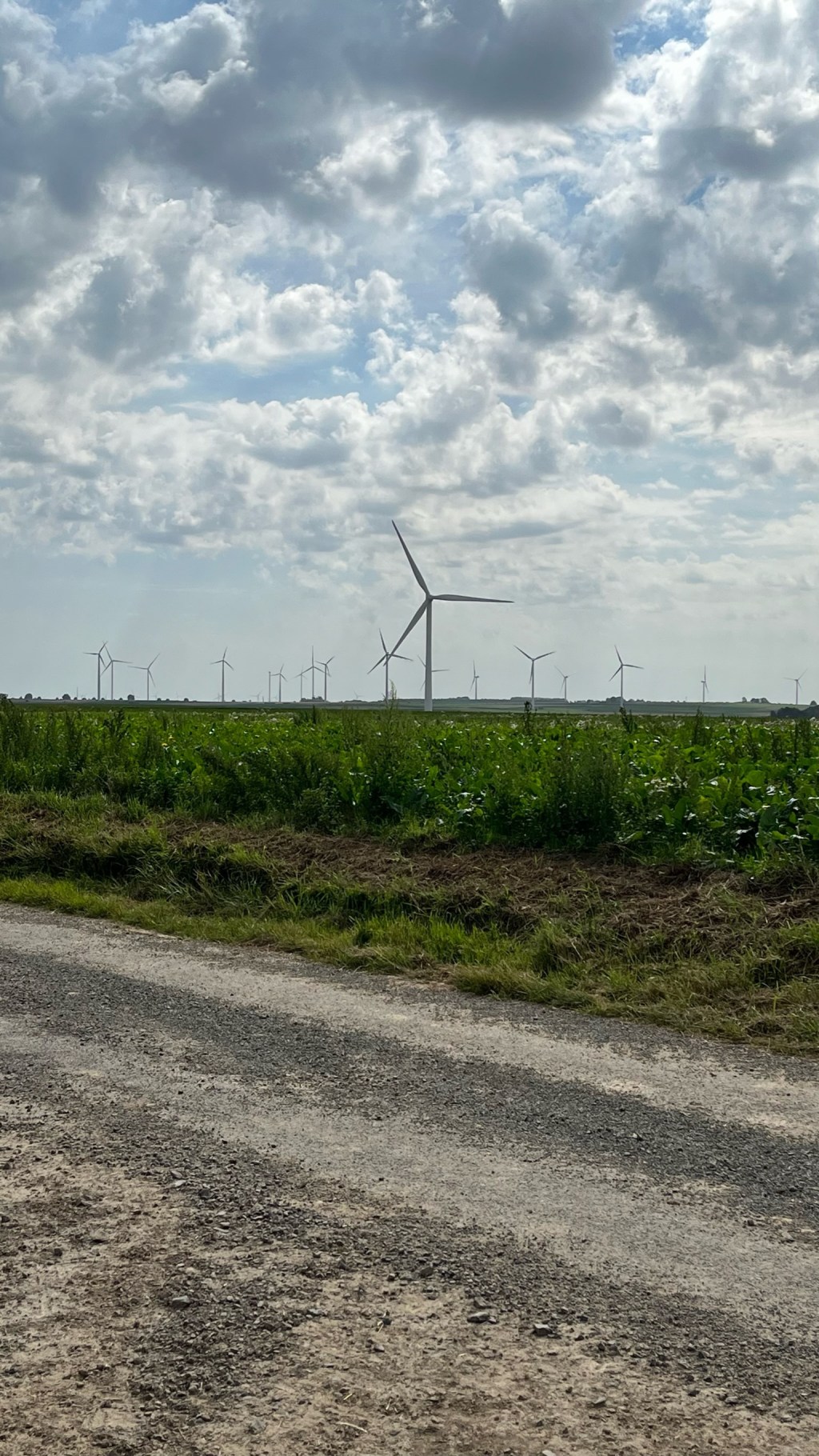 Day 7: Arras to&nbsp;Bapaume