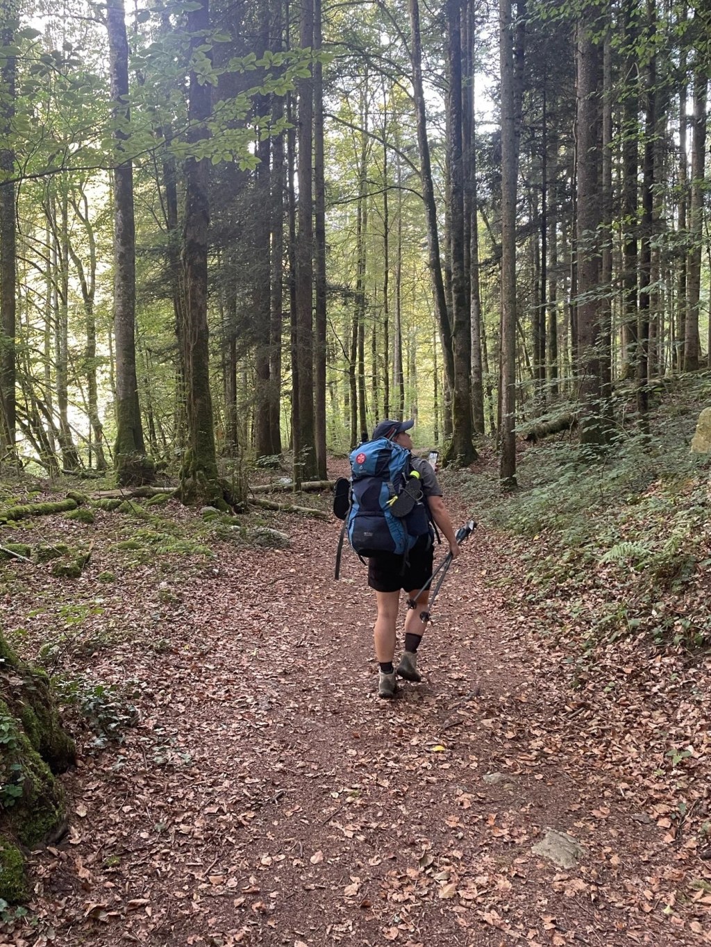 Day 35: Les-Hopitaux-Vieux to&nbsp;Orbe