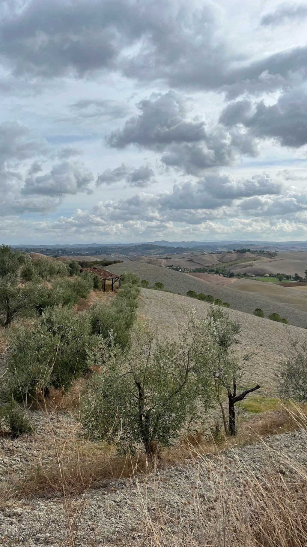Day 72: San Miniato to Gambassi&nbsp;Terme