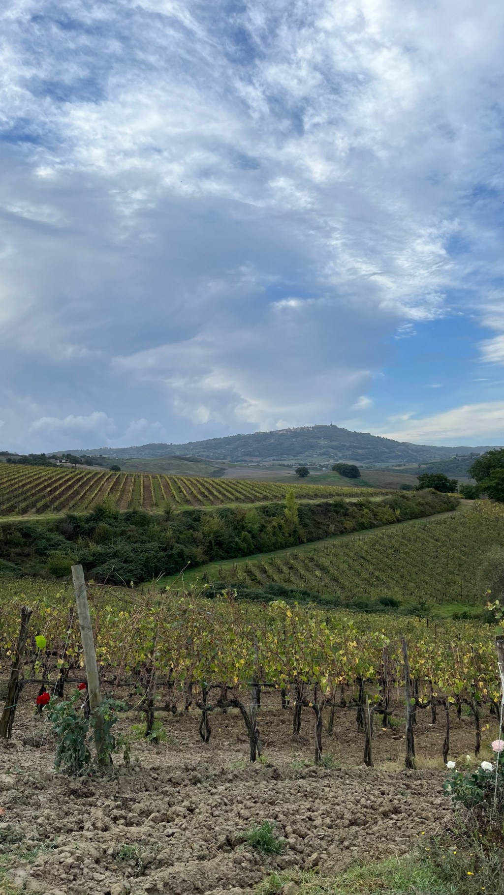 Day 78: Buonconvento to San Quirico&nbsp;d’Orcia
