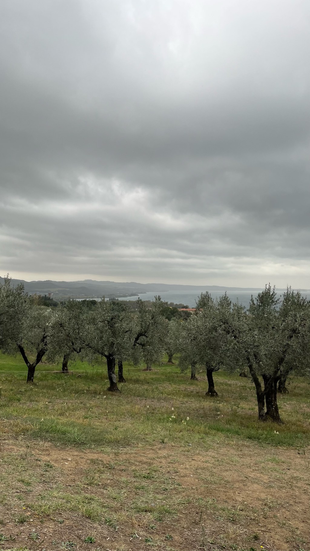 Day 81: Acquapendente to&nbsp;Bolsena