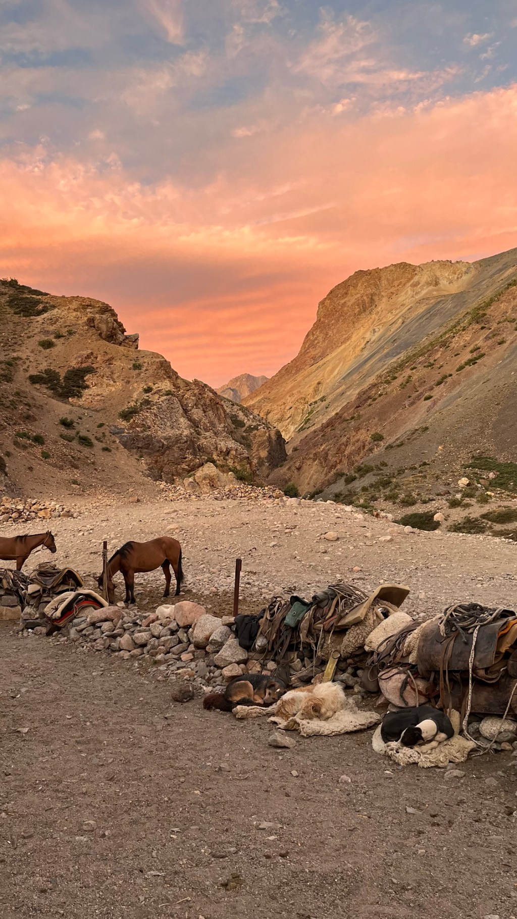 6 Days Crossing the Andes — on&nbsp;Horseback(!)