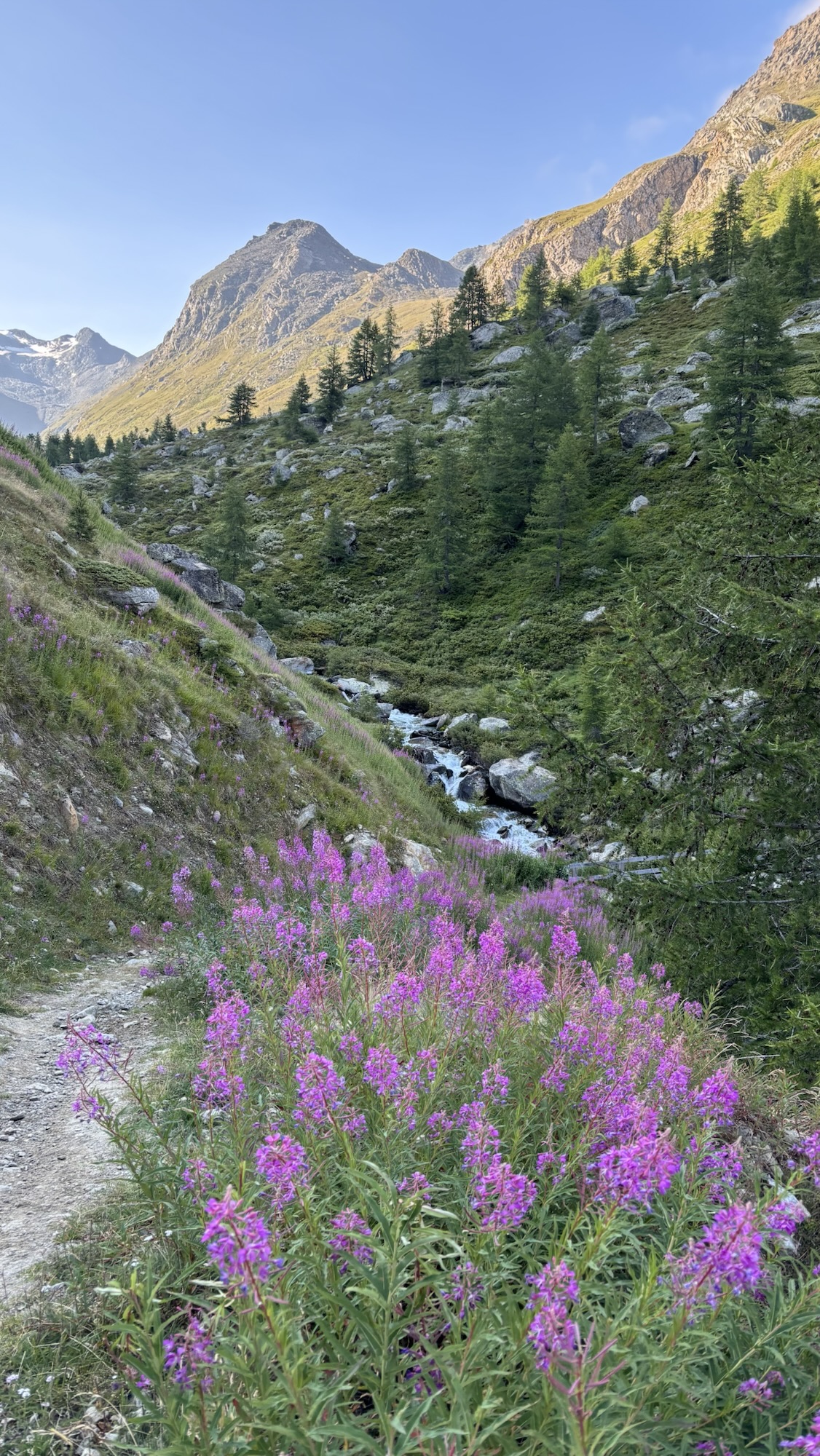 Zermatt In Spring Touching the Matterhorn: Swiss National Day in and around Zermatt – Eva ...